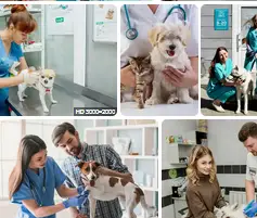 lecznica dla zwierząt